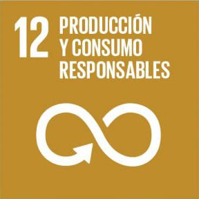 12. Producción y consumo responsables