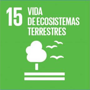 15. Ecosistemas terrestres