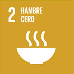 2. Hambre cero